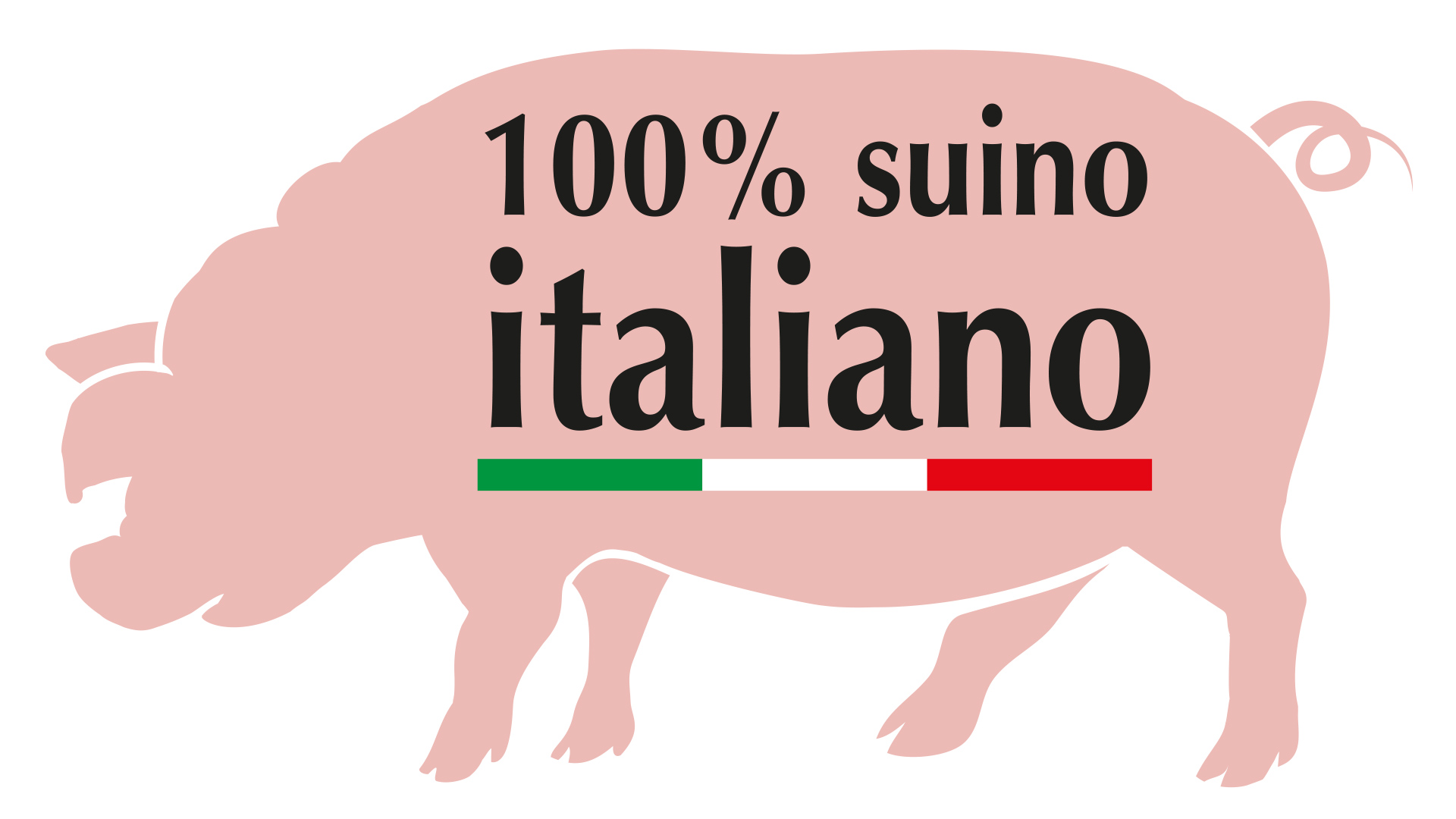 maialino